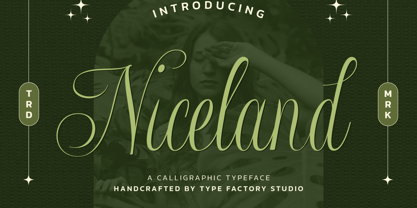 Niceland Font Poster 1