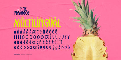 Pink Flemigos Font Poster 7