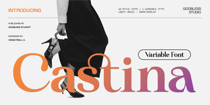 Castina serif Display Font Poster 1