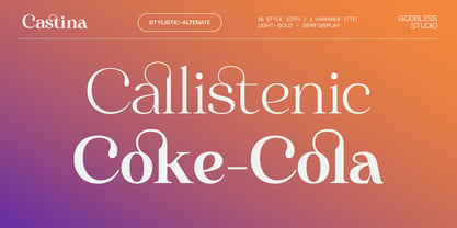 Castina serif Display Font Poster 12