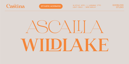 Castina serif Display Font Poster 11