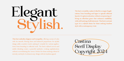 Castina serif Display Font Poster 3