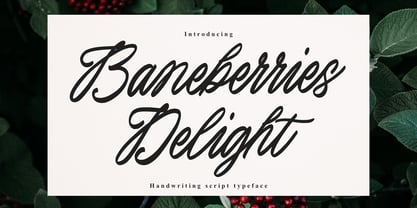 Baneberries Delight Font Poster 1