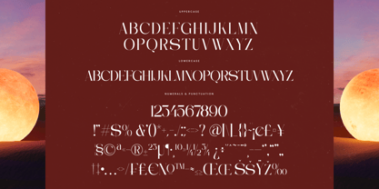 Moonlit Charm Font Poster 14
