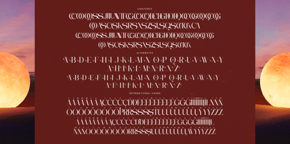 Moonlit Charm Font Poster 15