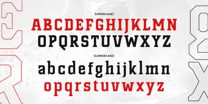 Sturb Font Poster 10