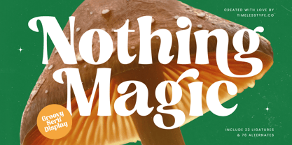 Nothing Magic Fuente Póster 1