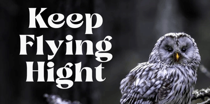 Misterya Font Poster 7