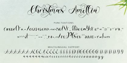 Christmas Amellia Font Poster 8