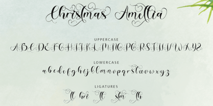 Christmas Amellia Font Poster 7