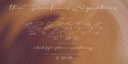 The Purelines Signature Font Poster 13