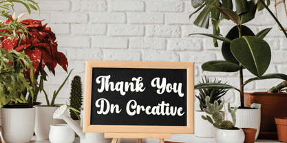 Pinky Magic Font Poster 12