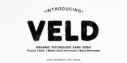 Veld Sans Font Poster 1