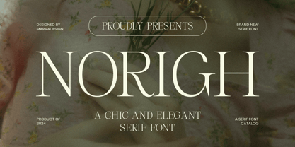 Norigh Font Poster 1