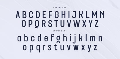 Regora Font Poster 12