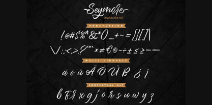 Seymore Script Font Poster 10