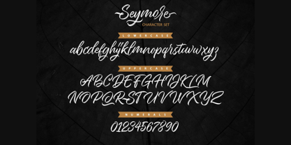 Seymore Script Font Poster 4