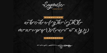 Seymore Script Font Poster 5