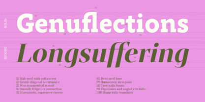 Intermedial Slab Font Poster 2