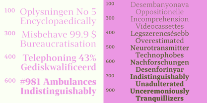 Intermedial Slab Font Poster 10