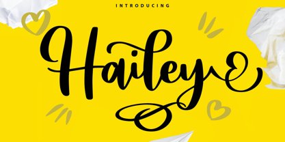 Hailey Script Font Poster 1