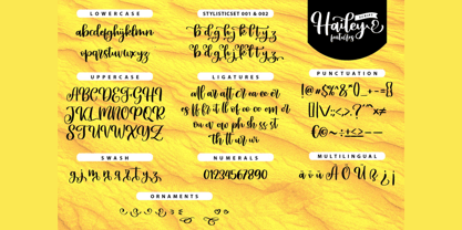 Hailey Script Font Poster 2