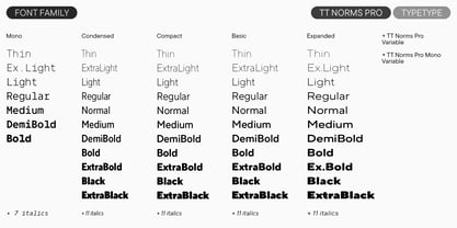 TT Norms Pro Font Poster 4