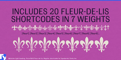 Meloche Font Poster 5