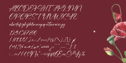 Ancient Rustic Font Poster 14