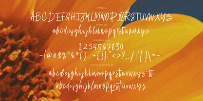 Amadine Signature Font Poster 9