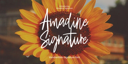 Amadine Signature Fuente Póster 1