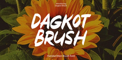 Dagkot Brush Font Poster 1