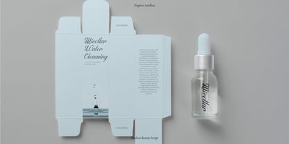 Naptira Anellian Font Poster 12