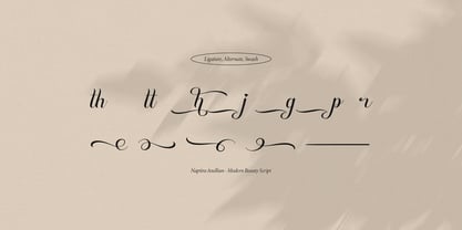 Naptira Anellian Font Poster 15