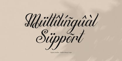 Naptira Anellian Font Poster 14