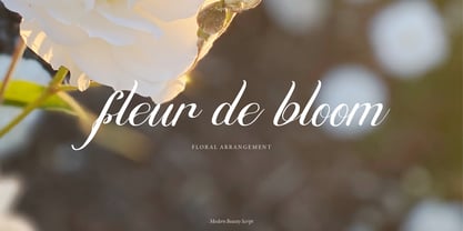Naptira Anellian Font Poster 2