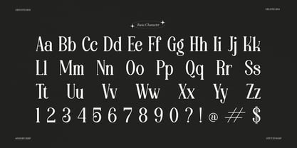 Aikonig Font Poster 13