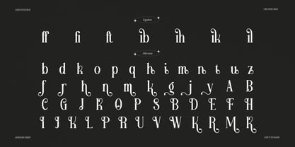 Aikonig Font Poster 15