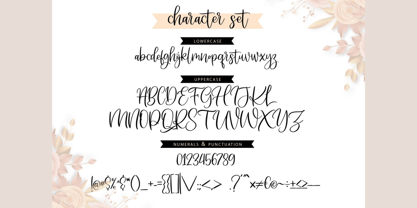 Someday Script Font Poster 7