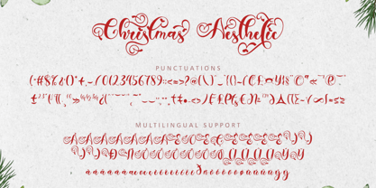 Christmas Aesthetic Font Poster 10