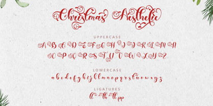 Christmas Aesthetic Font Poster 8