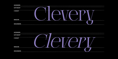 Clerioo Serif Font Poster 3