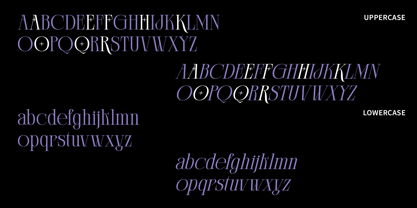 Clerioo Serif Font Poster 4