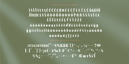 Bistika Font Poster 14