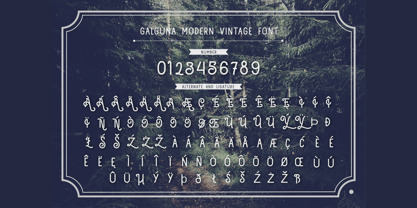 Galguna Font Poster 4