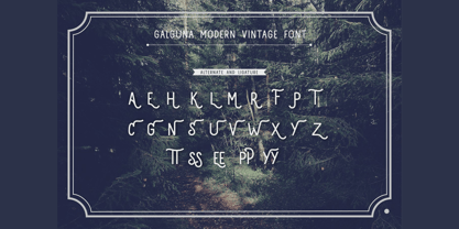 Galguna Font Poster 5