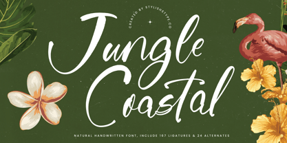 Jungle Coastal Fuente Póster 1