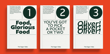 Fagun Font Poster 11