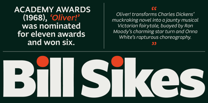 Fagun Font Poster 10