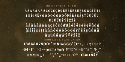 Nofiani Katrie Font Poster 14